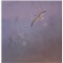 Ffion Unfurling - Sealed vinyl LP UK