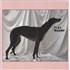 Flat Worms Flat Worms - White Vinyl LP UNITED KINGDOM 15ALPFL871154