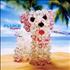 Fluke Puppy CD album UK UKECDPU253820