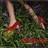 Goldfrapp Human CD single UK FPPC5HU247280