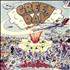 Green Day Dookie vinyl LP US GRNLPDO449835