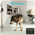 Grinderman Grinderman 2 - Black Eco Vinyl + 16-Page Booklet - Sealed LP UNITED KINGDOM GIDLPGR869794