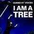 Guided By Voices I Am A Tree 7