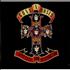 Guns N Roses Appetite for Destruction CD album UK GNRCDAP224623