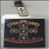 Guns N Roses Appetite For Destruction tour pass US GNRTPAP388585