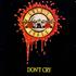 Guns N Roses Don't Cry 12