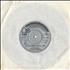 Harry Hastings' Palm Beach Orchestra She's A Great Great Girl 7