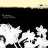 Hope Sandoval Bavarian Fruit Bread CD album UK HVLCDBA200800
