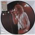 Ian Gillan Access All Areas picture disc LP UK