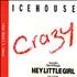 Icehouse Crazy CD single UK ICEC5CR31524