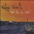 Indigo Girls What Are You Like? CD single US IDGC5WH466816