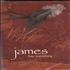 James Say Something cassette single US JMSCSSA68281