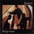 James Strip-mine vinyl LP US JMSLPST671364