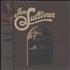 Jim Sullivan Jim Sullivan vinyl LP US 1NTLPJI748240