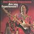 Jimi Hendrix Are You Experienced vinyl LP French HENLPAR124894