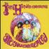 Jimi Hendrix Are You Experienced 2-LP vinyl set US HEN2LAR454057
