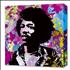 Jimi Hendrix Colours Camvas Print memorabilia UK HENMMCO351749