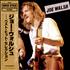 Joe Walsh The Very Best Of vinyl LP Japanese JWLLPTH529247