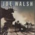 Joe Walsh You Bought It - You Name It vinyl LP US JWLLPYO680911