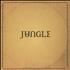 Jungle For Ever - Black Vinyl vinyl LP UK K-XLPFO791149