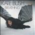 Kate Bush Breathing - Bat Sleeve 7