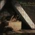 Kate Bush Lionheart book UK BUSBKLI646495