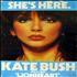 Kate Bush She's Here...Lionheart poster UK BUSPOSH618896