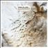 Kings Of Leon Revelry CD single UK KOLC5RE462124