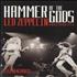 Led Zeppelin Hammer Of The Gods book UK ZEPBKHA569427