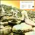 Led Zeppelin Houses Of The Holy - Sealed + Front T/L Sticker vinyl LP US ZEPLPHO436101
