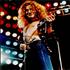 Led Zeppelin Robert Plant On Stage During 1975 US Tour - Autographed photograph UK ZEPPHRO455575