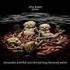 Limp Bizkit Chocolate Starfish & The Hotdog Flavored Water CD album UK BZKCDCH166710