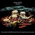 Limp Bizkit Chocolate Starfish And The Hot Dog Flavored Water SHM CD Japanese BZKHMCH449739