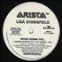 Lisa Stansfield Never Gonna Fall 12