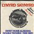 Lynyrd Skynyrd Free Bird 7