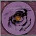 Madonna Bedtime Stories CD single US MADC5BE43016