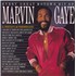 Marvin Gaye Every Great Motown Hit Of Marvin Gaye - 180gm vinyl LP UK MVGLPEV817785