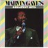 Marvin Gaye Greatest Hits vinyl LP German MVGLPGR816936