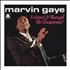Marvin Gaye I Heard It Through The Grapevine SHM CD Japanese MVGHMIH460156