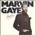 Marvin Gaye Praise + Sleeve 7