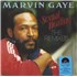 Marvin Gaye Sexual Healing: The Remixes - RSD18 - Red Smoke Vinyl + Shrink 12