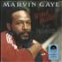 Marvin Gaye Sexual Healing: The Remixes - RSD18 - Red Smoke Vinyl - Sealed 12