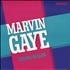 Marvin Gaye Sexual Healing 12