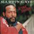 Marvin Gaye Sexual Healing 7