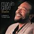 Marvin Gaye Songbook CD album UK MVGCDSO462226