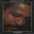 Marvin Gaye The Marvin Gaye Show - Souvenir Programme tour programme UK MVGTRTH375246