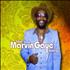 Marvin Gaye The Marvin Gaye Story 2-CD album set UK MVG2CTH361654
