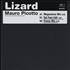 Mauro Picotto Lizard 12