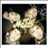 McFly Lies 3-disc CD/DVD Set UK MAJ3DLI445503