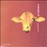 Midnight Oil Capricornia CD album US OILCDCA207310